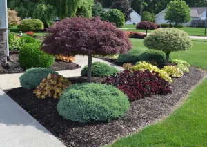 Landscaping