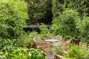 Home & Garden