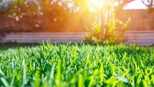 Lawn Care