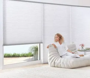 Window Treatment