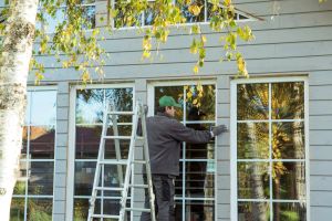 Window Contractors