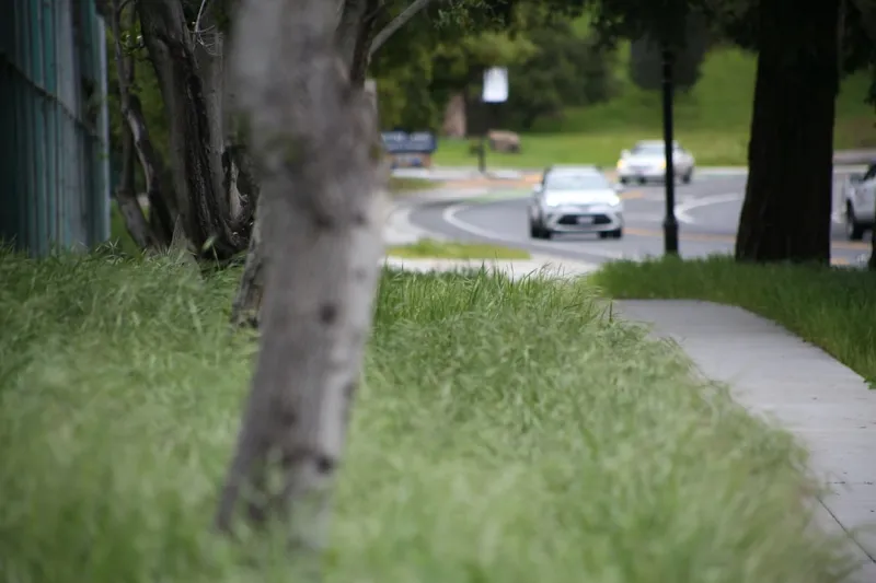 The Intersection of Lawn Care and Sustainable Living