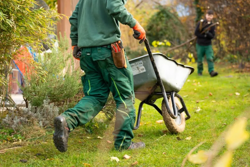 The Green Revolution in Landscaping: Sustainable Practices for a Greener Tomorrow The Green Revolution in Landscaping: Sustainable Practices for a Greener Tomorrow