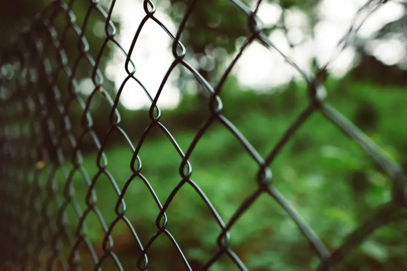 Redefining Fencing: From Simple Barrier to Sustainable Design Partner