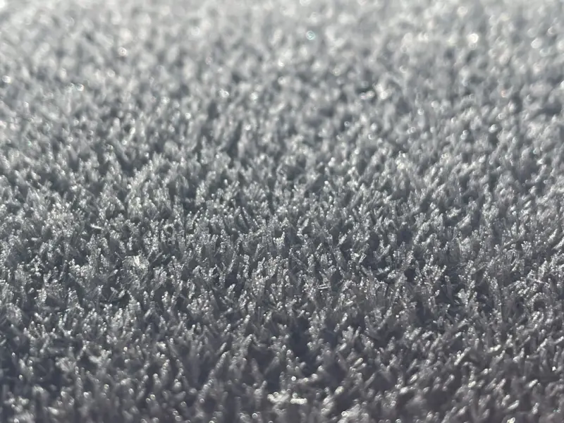 Green Carpet Cleaning: Turning Sustainability Into Facility Performance