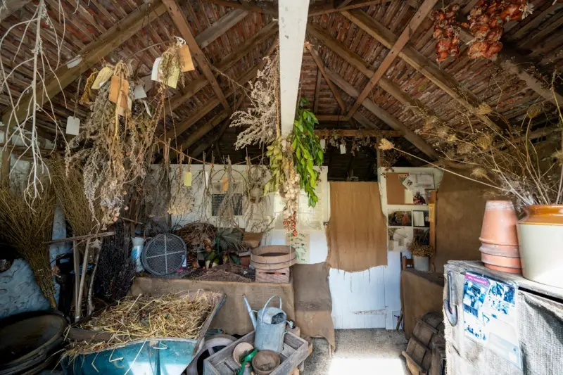 From Storage to Sanctuary: Reimagining Your Garden Shed as a Year‑Round Creative Retreat