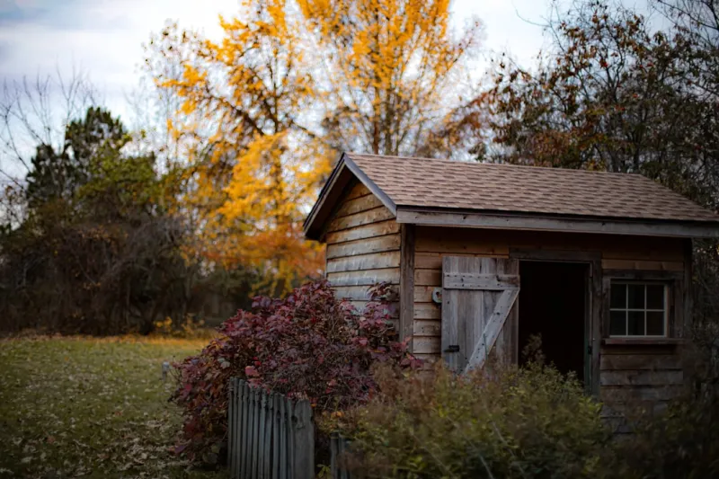 From Backyard Shed to Sustainable Sanctuary: My Hands‑On Guide From Backyard Shed to Sustainable Sanctuary: My Hands‑On Guide