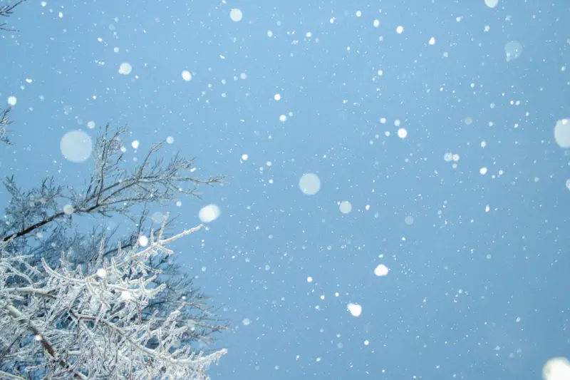 Smart Snow Strategies: Turning Winter Chaos into Operational Advantage