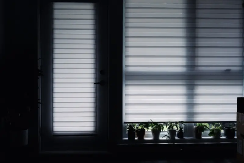 Smart Window Treatments: Light, Privacy, and Energy Mastery