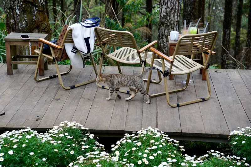 Turning Outdoor Decks into Power‑Generating Hubs