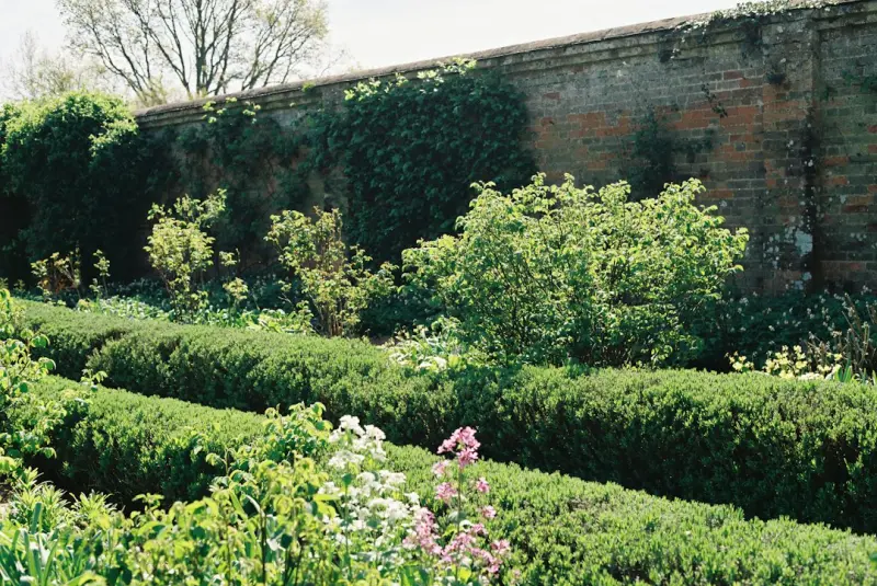 Pocket Gardens: Turning Forgotten Corners into Lush Urban Oases