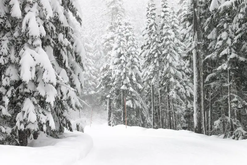 From Snowpiles to Smart Ops: Rethinking Winter Groundskeeping