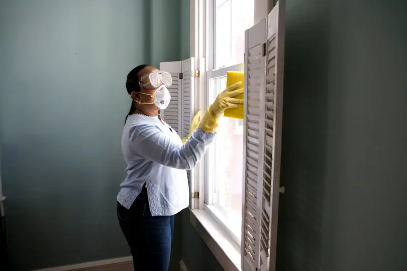 Mold Removal: Turning Hidden Threats into a Strategic Asset