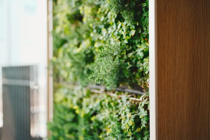 How Living Walls Transform Home Health and Productivity