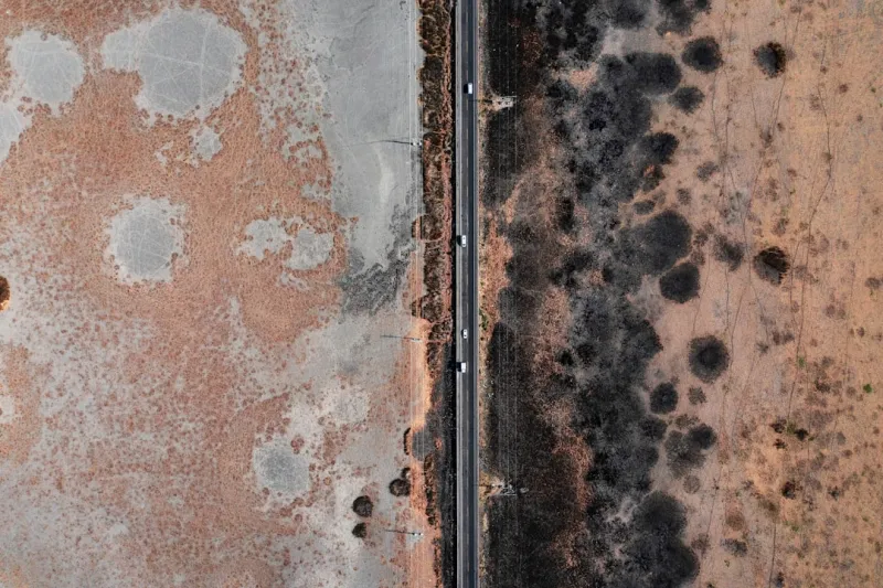 The Hidden Dangers of Mold in Your Home: Sustainable Mold Removal Practices The Hidden Dangers of Mold in Your Home: Sustainable Mold Removal Practices