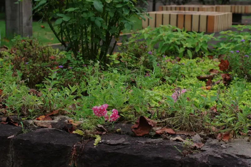 How to Build a Climate‑Resilient Landscape That Thrives in Any Weather