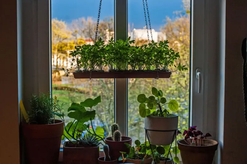 Harvesting Harmony: Designing an Edible Garden That Feeds Body and Soul