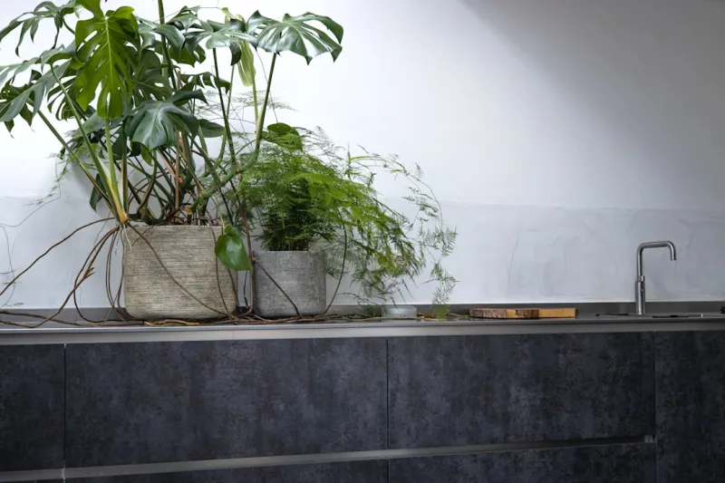 Sustainable Kitchen Renovations: A Guide to Eco-Friendly Cooking Spaces Sustainable Kitchen Renovations: A Guide to Eco-Friendly Cooking Spaces