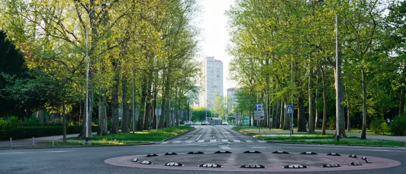 Microclimate Mapping for Urban Trees: A DIY Guide to Proactive Care