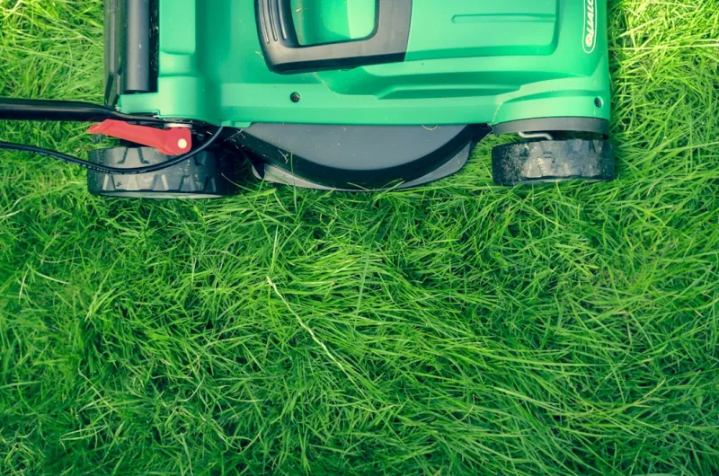 The Importance of Sustainable Lawn Care Practices The Importance of Sustainable Lawn Care Practices