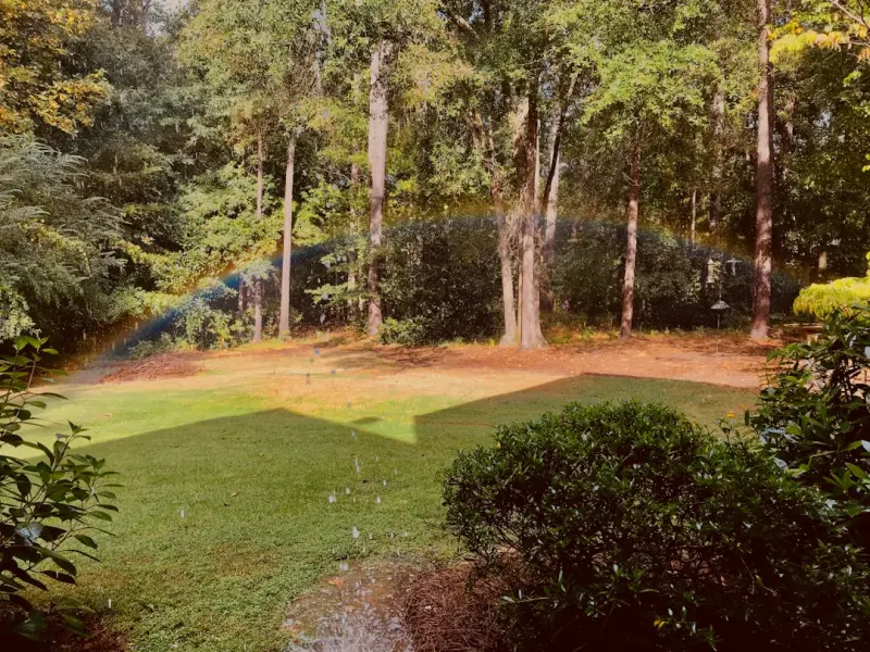 Turning Your Yard into a Natural Weather Guard