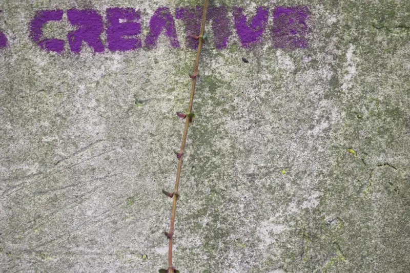 Concrete as a Creative Canvas: Transforming Spaces with Sustainable Style