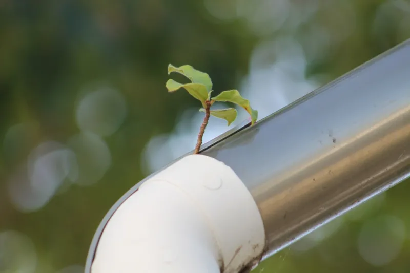 Mastering Gutters: Sustainable Strategies for Home Longevity