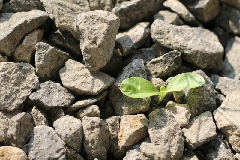 Building a Rock‑Solid, Sustainable Foundation: Lessons from the Trenches
