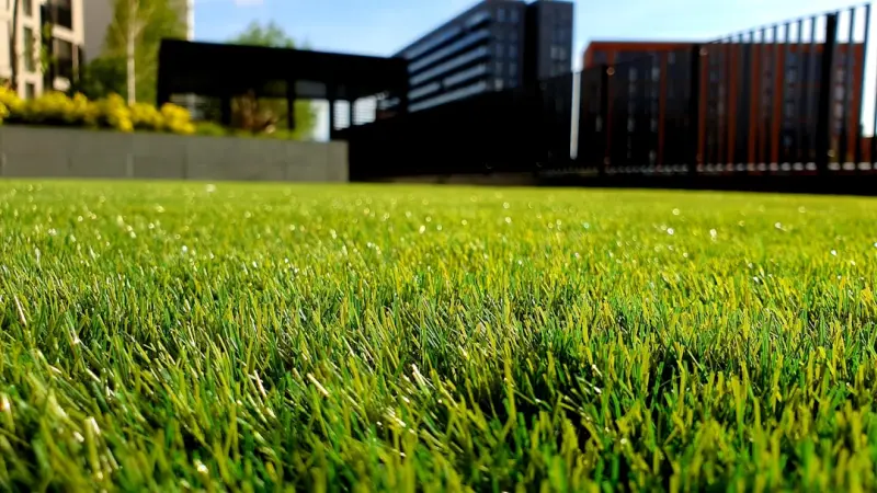 Biodiverse Lawns: Turning Grass into a Living Asset
