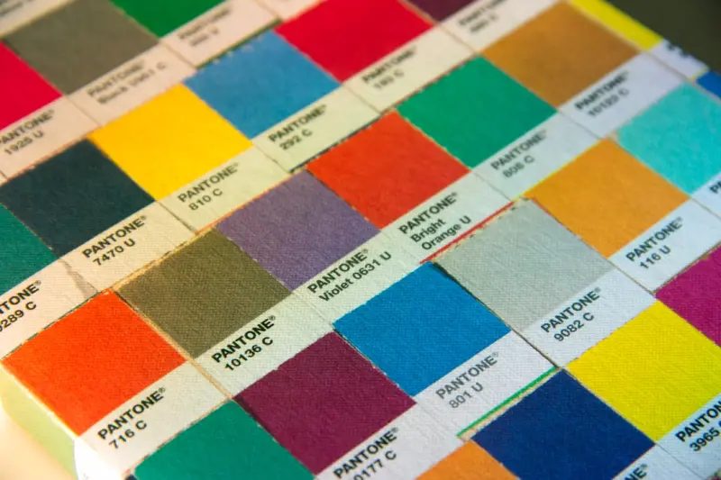 The Color Code: How Modern Paint Choices Can Boost Your Home’s Energy Efficiency and Well‑Being
