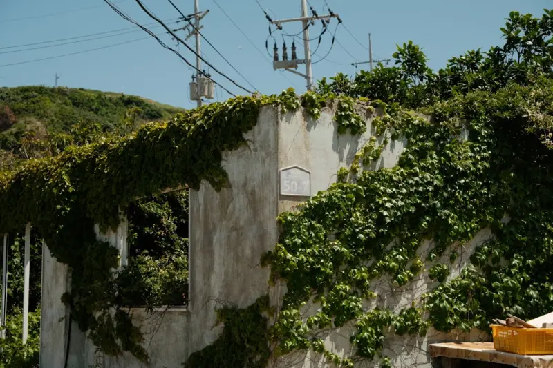 The Hidden Power of Routine Property Maintenance: A Lifestyle Upgrade