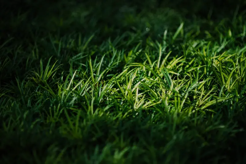 From Grass to Gold: Monetizing Precision Landscaping in Commercial Spaces