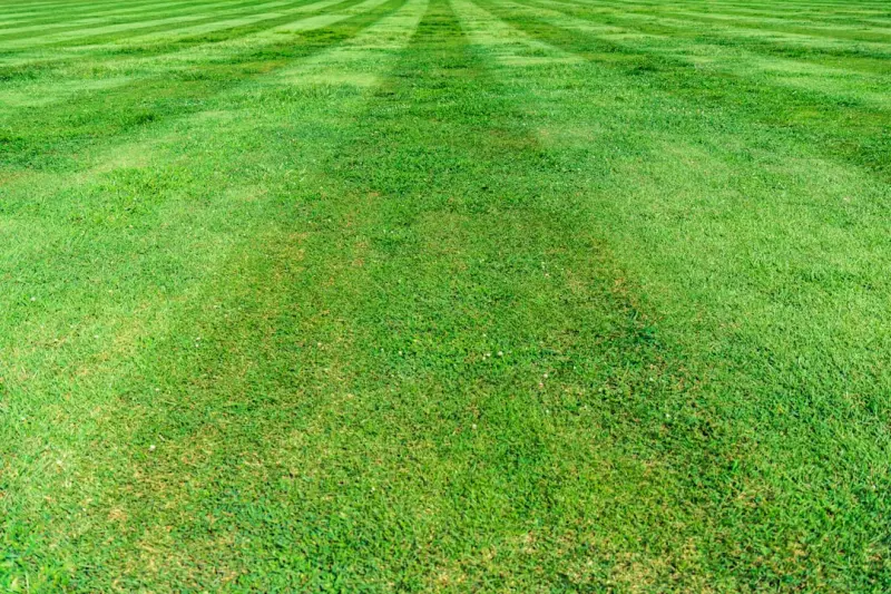 Data‑Driven Lawn Care: Turning Your Yard Into a High‑Performance Asset