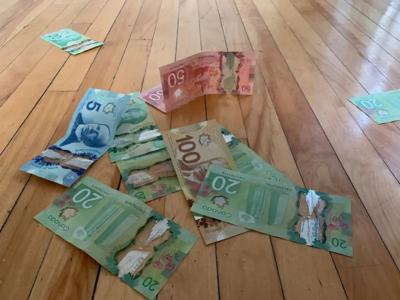 The Hidden Impact of Flooring: Mood, Money, and Modern Living