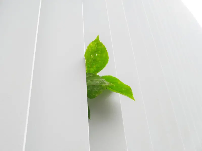 Eco‑Friendly Drywall: Reducing the Carbon Footprint One Wall at a Time