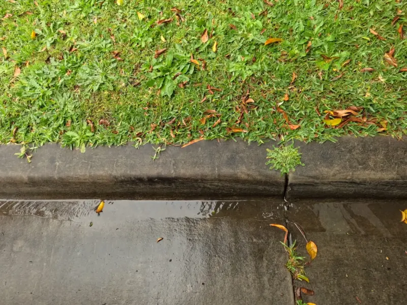 Smart Gutter Strategies: From Protection to Water Harvesting