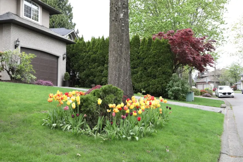 Front Yard Refresh: Native Plants, Smart Irrigation, and Modern Fencing Front Yard Refresh: Native Plants, Smart Irrigation, and Modern Fencing