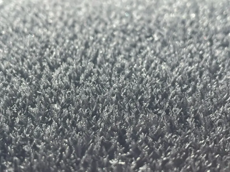 Why Your Carpet Deserves a Tech‑Powered Deep Clean
