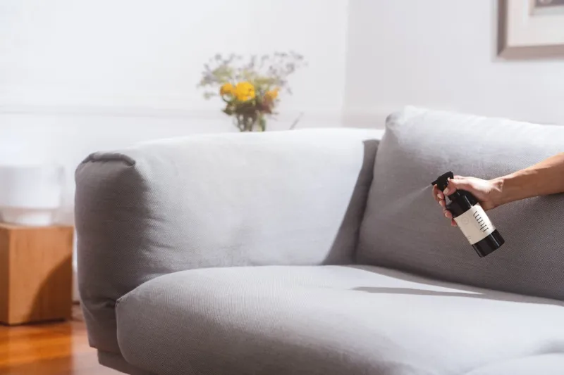Reviving Your Home, One Stain at a Time: The Power of Professional Carpet Cleaning Reviving Your Home, One Stain at a Time: The Power of Professional Carpet Cleaning