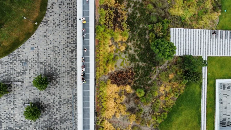 The Evolution of Roofing: Sustainable Solutions for a Greener Tomorrow
