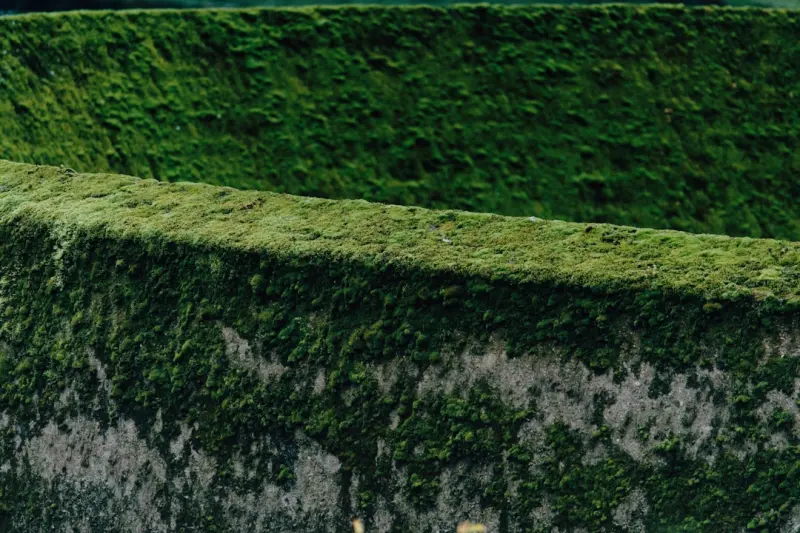 Green Waterproofing: Turning Eco‑Membranes Into a Strategic Asset
