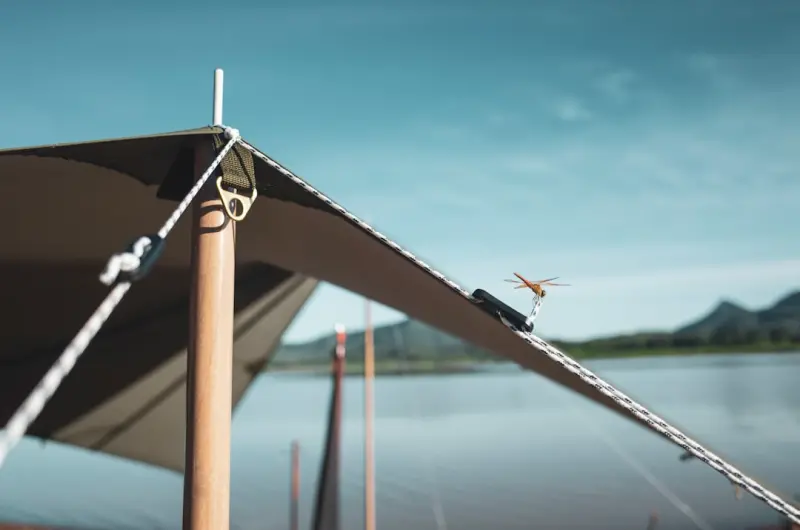 Awning Alchemy: Turning Simple Shade into Smart Outdoor Experience