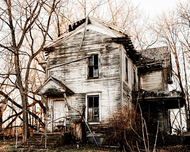 Sustainable Home Restoration: Turning Old Spaces into Green Havens