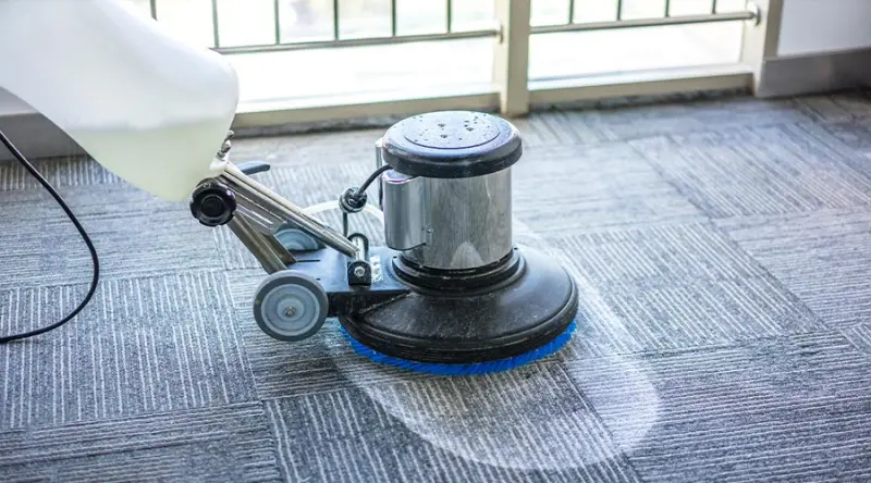 Rethinking Carpet Care: Less Is More