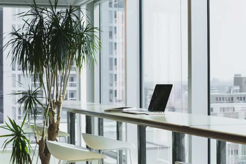 Nature‑Infused Workspaces: Transforming Commercial Renovations for Profit and Well‑Being