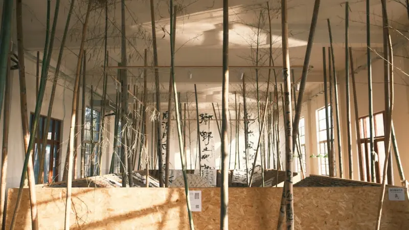 Eco‑Friendly Drywall: Sustainable Materials, Healthier Homes