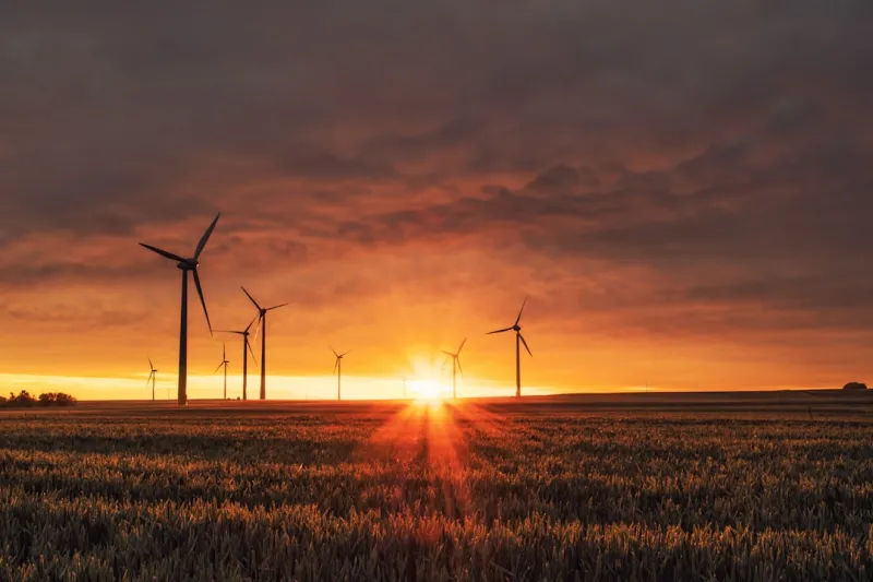 Why Energy Inspections Are Crucial For A Sustainable Future