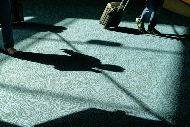 Beyond Stains: A Strategic Approach to Carpet Care in Modern Workplaces