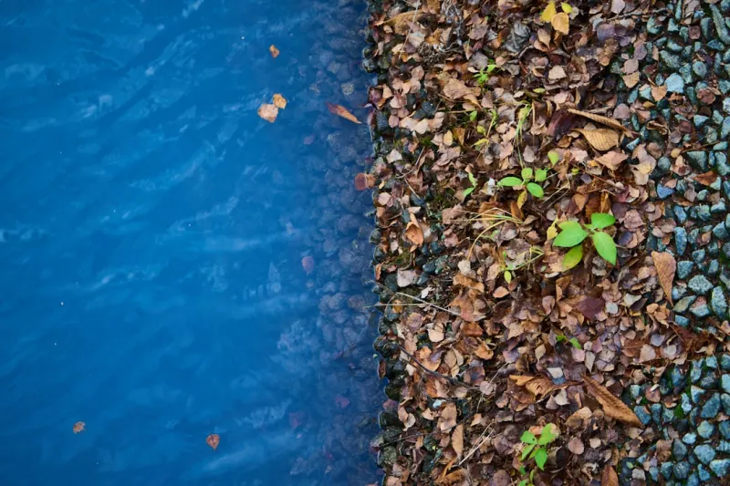 The Future of Waterproofing: A Sustainable Approach to Protecting Your Home The Future of Waterproofing: A Sustainable Approach to Protecting Your Home