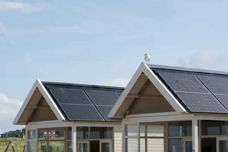 Solar Synergy: Turning Rooftops into Business Power Hubs
